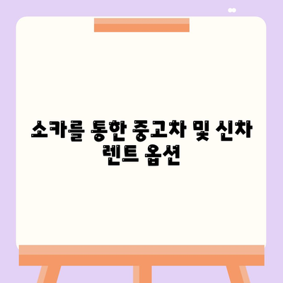 인천시 동구 송현3동 렌트카 가격비교 | 리스 | 장기대여 | 1일비용 | 비용 | 소카 | 중고 | 신차 | 1박2일 2024후기