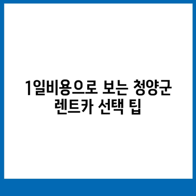 충청남도 청양군 대치면 렌트카 가격비교 | 리스 | 장기대여 | 1일비용 | 비용 | 소카 | 중고 | 신차 | 1박2일 2024후기