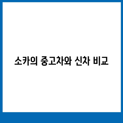 경기도 시흥시 정왕1동 렌트카 가격비교 | 리스 | 장기대여 | 1일비용 | 비용 | 소카 | 중고 | 신차 | 1박2일 2024후기