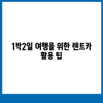 광주시 북구 오치2동 렌트카 가격비교 | 리스 | 장기대여 | 1일비용 | 비용 | 소카 | 중고 | 신차 | 1박2일 2024후기