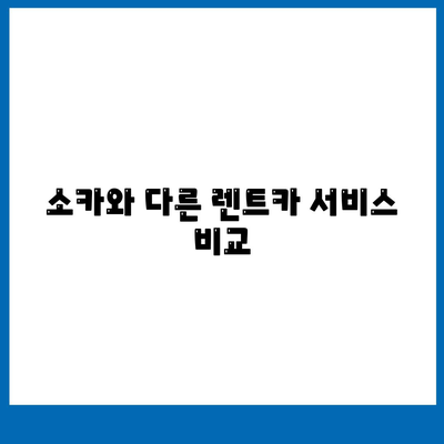 울산시 중구 약사동 렌트카 가격비교 | 리스 | 장기대여 | 1일비용 | 비용 | 소카 | 중고 | 신차 | 1박2일 2024후기