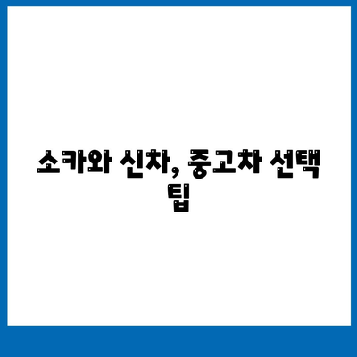 전라남도 영암군 도포면 렌트카 가격비교 | 리스 | 장기대여 | 1일비용 | 비용 | 소카 | 중고 | 신차 | 1박2일 2024후기