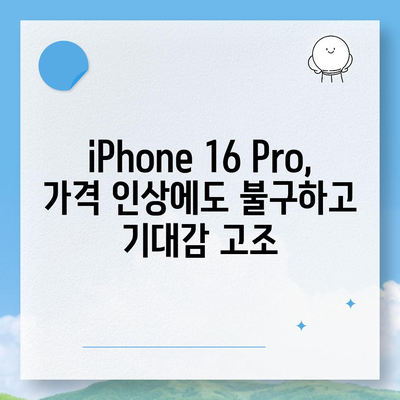 iPhone 16 한국 1차 출시국 확정, Pro 가격 인상, 디스플레이 확대