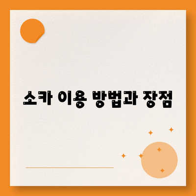 서울시 강북구 인수동 렌트카 가격비교 | 리스 | 장기대여 | 1일비용 | 비용 | 소카 | 중고 | 신차 | 1박2일 2024후기