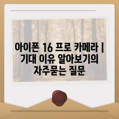 아이폰 16 프로 카메라 | 기대 이유 알아보기