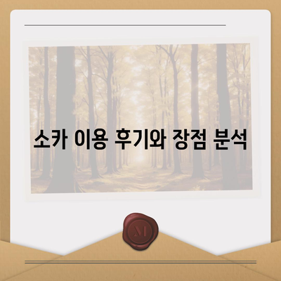 충청북도 청주시 서원구 개신동 렌트카 가격비교 | 리스 | 장기대여 | 1일비용 | 비용 | 소카 | 중고 | 신차 | 1박2일 2024후기