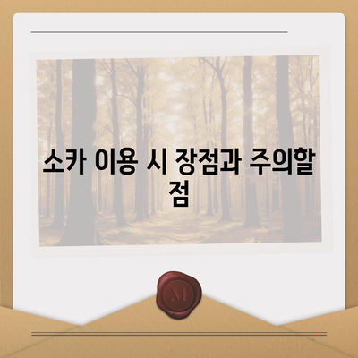 대구시 남구 대명11동 렌트카 가격비교 | 리스 | 장기대여 | 1일비용 | 비용 | 소카 | 중고 | 신차 | 1박2일 2024후기