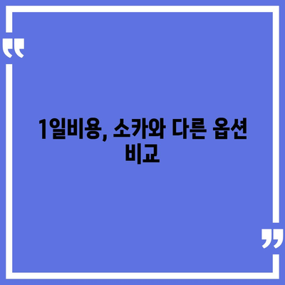 부산시 동래구 온천3동 렌트카 가격비교 | 리스 | 장기대여 | 1일비용 | 비용 | 소카 | 중고 | 신차 | 1박2일 2024후기