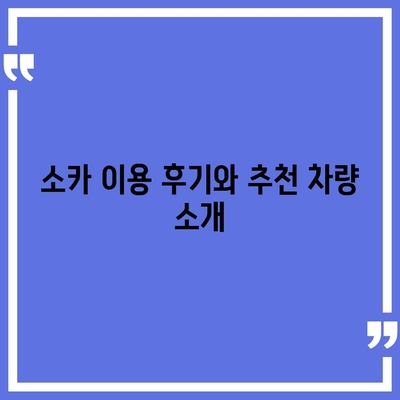 부산시 남구 용호4동 렌트카 가격비교 | 리스 | 장기대여 | 1일비용 | 비용 | 소카 | 중고 | 신차 | 1박2일 2024후기