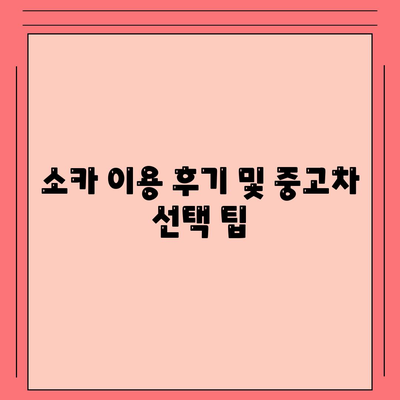 경기도 광명시 하안1동 렌트카 가격비교 | 리스 | 장기대여 | 1일비용 | 비용 | 소카 | 중고 | 신차 | 1박2일 2024후기