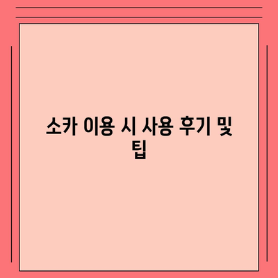 인천시 강화군 양도면 렌트카 가격비교 | 리스 | 장기대여 | 1일비용 | 비용 | 소카 | 중고 | 신차 | 1박2일 2024후기