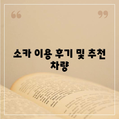 부산시 동래구 수민동 렌트카 가격비교 | 리스 | 장기대여 | 1일비용 | 비용 | 소카 | 중고 | 신차 | 1박2일 2024후기