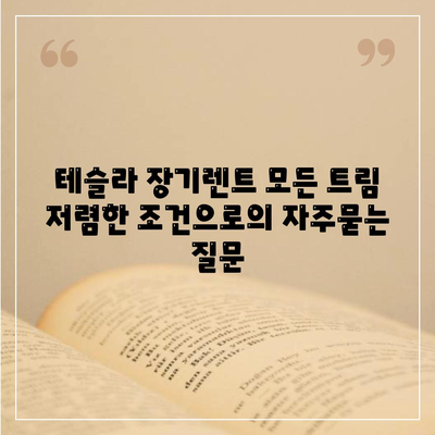 테슬라 장기렌트 모든 트림 저렴한 조건으로