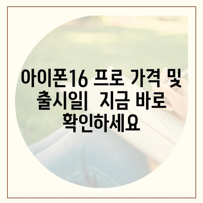 광주시 서구 광천동 아이폰16 프로 사전예약 | 출시일 | 가격 | PRO | SE1 | 디자인 | 프로맥스 | 색상 | 미니 | 개통