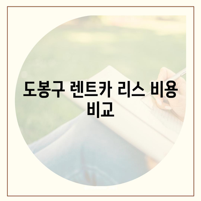 서울시 도봉구 창제4동 렌트카 가격비교 | 리스 | 장기대여 | 1일비용 | 비용 | 소카 | 중고 | 신차 | 1박2일 2024후기