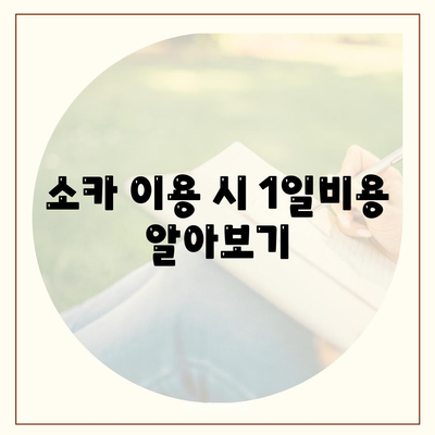 충청남도 홍성군 서부면 렌트카 가격비교 | 리스 | 장기대여 | 1일비용 | 비용 | 소카 | 중고 | 신차 | 1박2일 2024후기