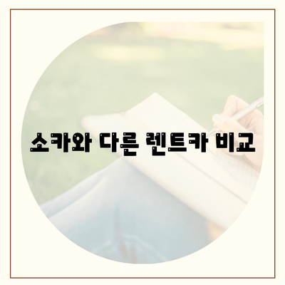 대전시 서구 변동 렌트카 가격비교 | 리스 | 장기대여 | 1일비용 | 비용 | 소카 | 중고 | 신차 | 1박2일 2024후기