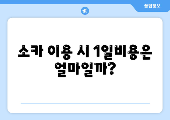 서울시 송파구 잠실4동 렌트카 가격비교 | 리스 | 장기대여 | 1일비용 | 비용 | 소카 | 중고 | 신차 | 1박2일 2024후기