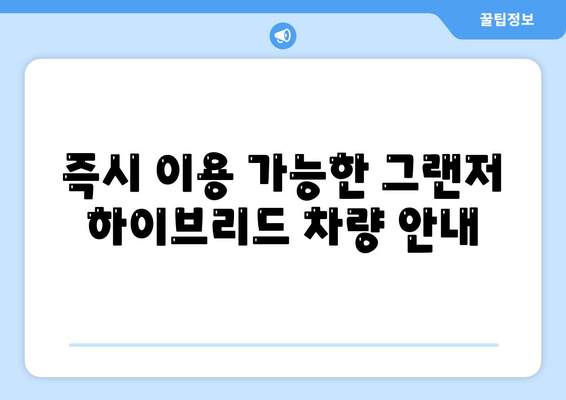 그랜저 하이브리드 장기 렌트 | 블랙잉크 즉시 가능