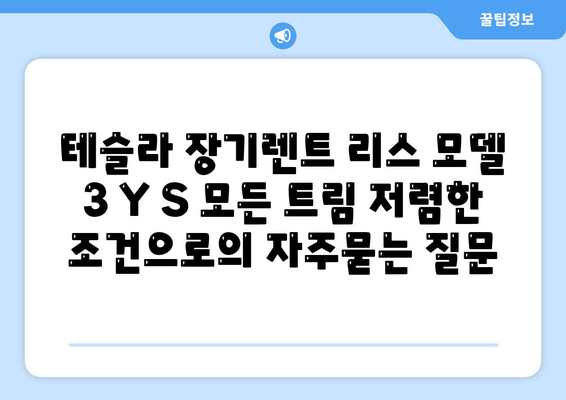 테슬라 장기렌트 리스 모델 3 Y S 모든 트림 저렴한 조건으로