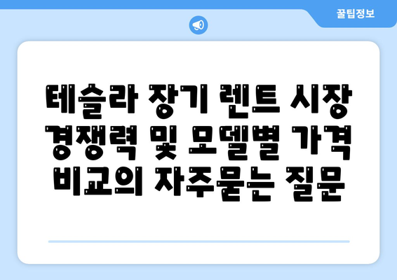 테슬라 장기 렌트 시장 경쟁력 및 모델별 가격 비교