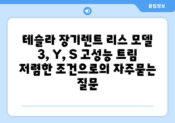 테슬라 장기렌트 리스 모델 3, Y, S 고성능 트림 저렴한 조건으로