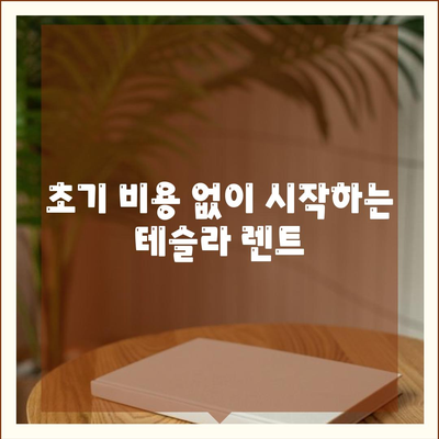 테슬라 장기렌트 모델별 저렴한 조건 제공