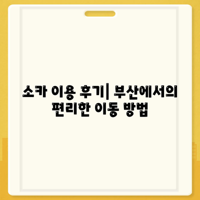 부산시 부산진구 개금2동 렌트카 가격비교 | 리스 | 장기대여 | 1일비용 | 비용 | 소카 | 중고 | 신차 | 1박2일 2024후기