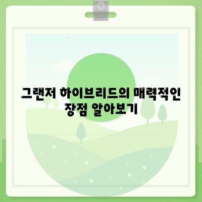 그랜저 하이브리드 장기렌트로 즉시 블랙잉크 확보하기