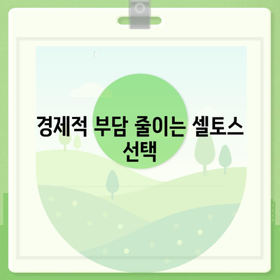 셀토스 장기렌트 | 필수적인 선택