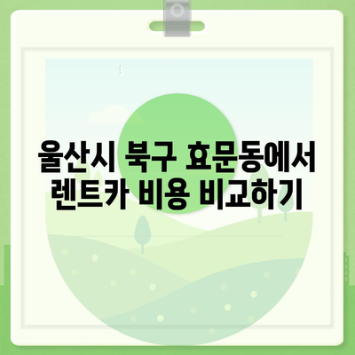 울산시 북구 효문동 렌트카 가격비교 | 리스 | 장기대여 | 1일비용 | 비용 | 소카 | 중고 | 신차 | 1박2일 2024후기