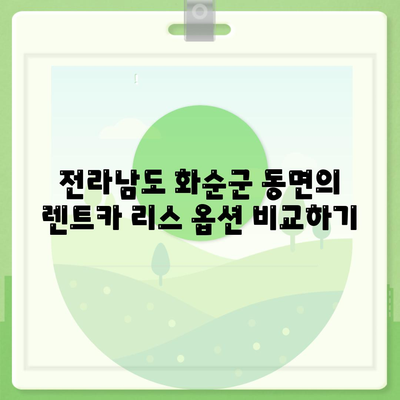 전라남도 화순군 동면 렌트카 가격비교 | 리스 | 장기대여 | 1일비용 | 비용 | 소카 | 중고 | 신차 | 1박2일 2024후기