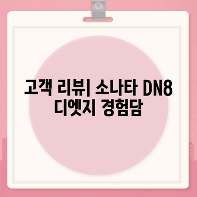 소나타 DN8 디엣지 월렌트 소개