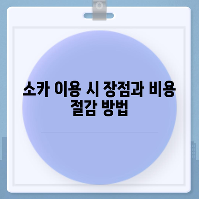 세종시 세종특별자치시 전의면 렌트카 가격비교 | 리스 | 장기대여 | 1일비용 | 비용 | 소카 | 중고 | 신차 | 1박2일 2024후기