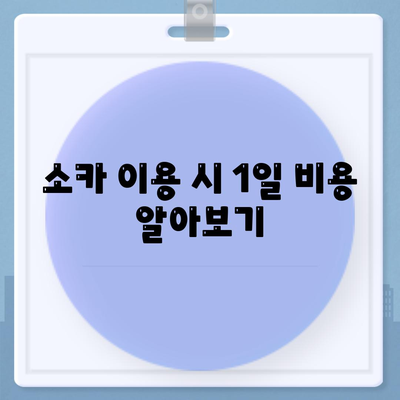 경기도 남양주시 다산1동 렌트카 가격비교 | 리스 | 장기대여 | 1일비용 | 비용 | 소카 | 중고 | 신차 | 1박2일 2024후기