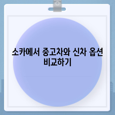 전라남도 장성군 서삼면 렌트카 가격비교 | 리스 | 장기대여 | 1일비용 | 비용 | 소카 | 중고 | 신차 | 1박2일 2024후기