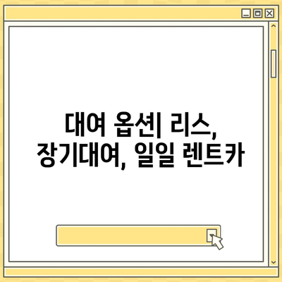 서울시 강서구 가양제1동 렌트카 가격비교 | 리스 | 장기대여 | 1일비용 | 비용 | 소카 | 중고 | 신차 | 1박2일 2024후기