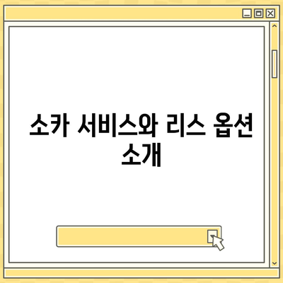 광주시 남구 백운2동 렌트카 가격비교 | 리스 | 장기대여 | 1일비용 | 비용 | 소카 | 중고 | 신차 | 1박2일 2024후기