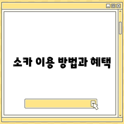 광주시 북구 두암2동 렌트카 가격비교 | 리스 | 장기대여 | 1일비용 | 비용 | 소카 | 중고 | 신차 | 1박2일 2024후기