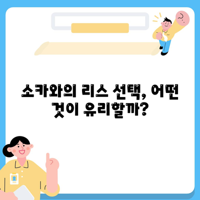 충청북도 보은군 회남면 렌트카 가격비교 | 리스 | 장기대여 | 1일비용 | 비용 | 소카 | 중고 | 신차 | 1박2일 2024후기