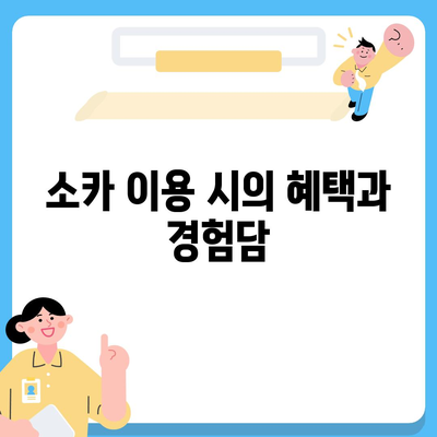 대구시 수성구 중동 렌트카 가격비교 | 리스 | 장기대여 | 1일비용 | 비용 | 소카 | 중고 | 신차 | 1박2일 2024후기