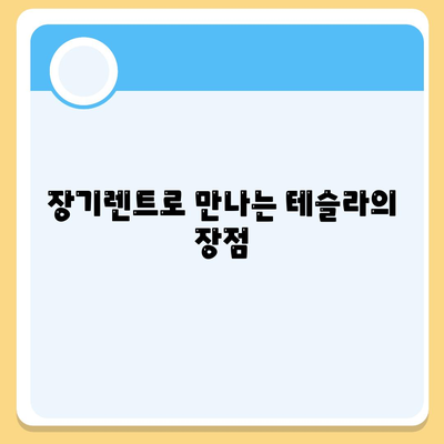 테슬라 장기렌트 모델별 저렴한 조건 제공