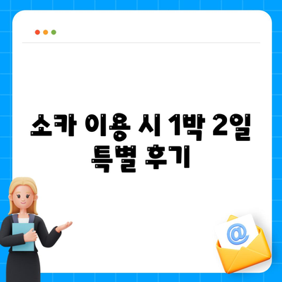 전라남도 장성군 서삼면 렌트카 가격비교 | 리스 | 장기대여 | 1일비용 | 비용 | 소카 | 중고 | 신차 | 1박2일 2024후기