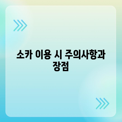 인천시 부평구 부평2동 렌트카 가격비교 | 리스 | 장기대여 | 1일비용 | 비용 | 소카 | 중고 | 신차 | 1박2일 2024후기