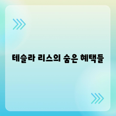 테슬라 장기렌트 리스 모델 3 Y S 모든 트림 정말 저렴한 조건으로