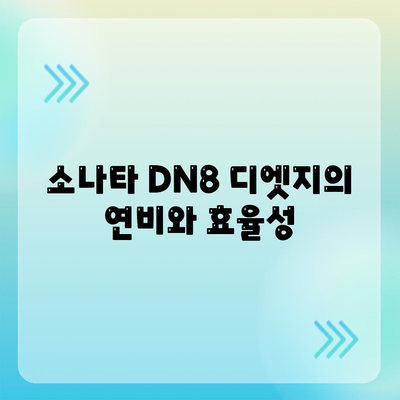 소나타 DN8 디엣지 월렌트 소개