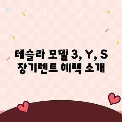 테슬라 장기렌트 리스 모델 3, Y, S 고성능 트림 저렴한 조건으로