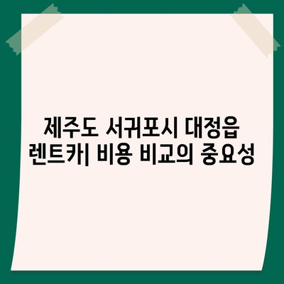 제주도 서귀포시 대정읍 렌트카 가격비교 | 리스 | 장기대여 | 1일비용 | 비용 | 소카 | 중고 | 신차 | 1박2일 2024후기