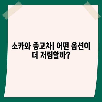 제주도 서귀포시 대정읍 렌트카 가격비교 | 리스 | 장기대여 | 1일비용 | 비용 | 소카 | 중고 | 신차 | 1박2일 2024후기