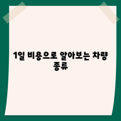 충청북도 청주시 흥덕구 가경동 렌트카 가격비교 | 리스 | 장기대여 | 1일비용 | 비용 | 소카 | 중고 | 신차 | 1박2일 2024후기